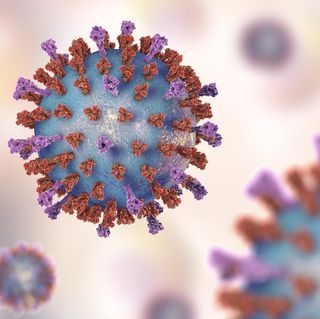 Virus hợp bào hô hấp